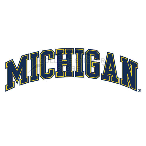 Personal Michigan Wolverines Iron-on Transfers (Wall Stickers)NO.5078